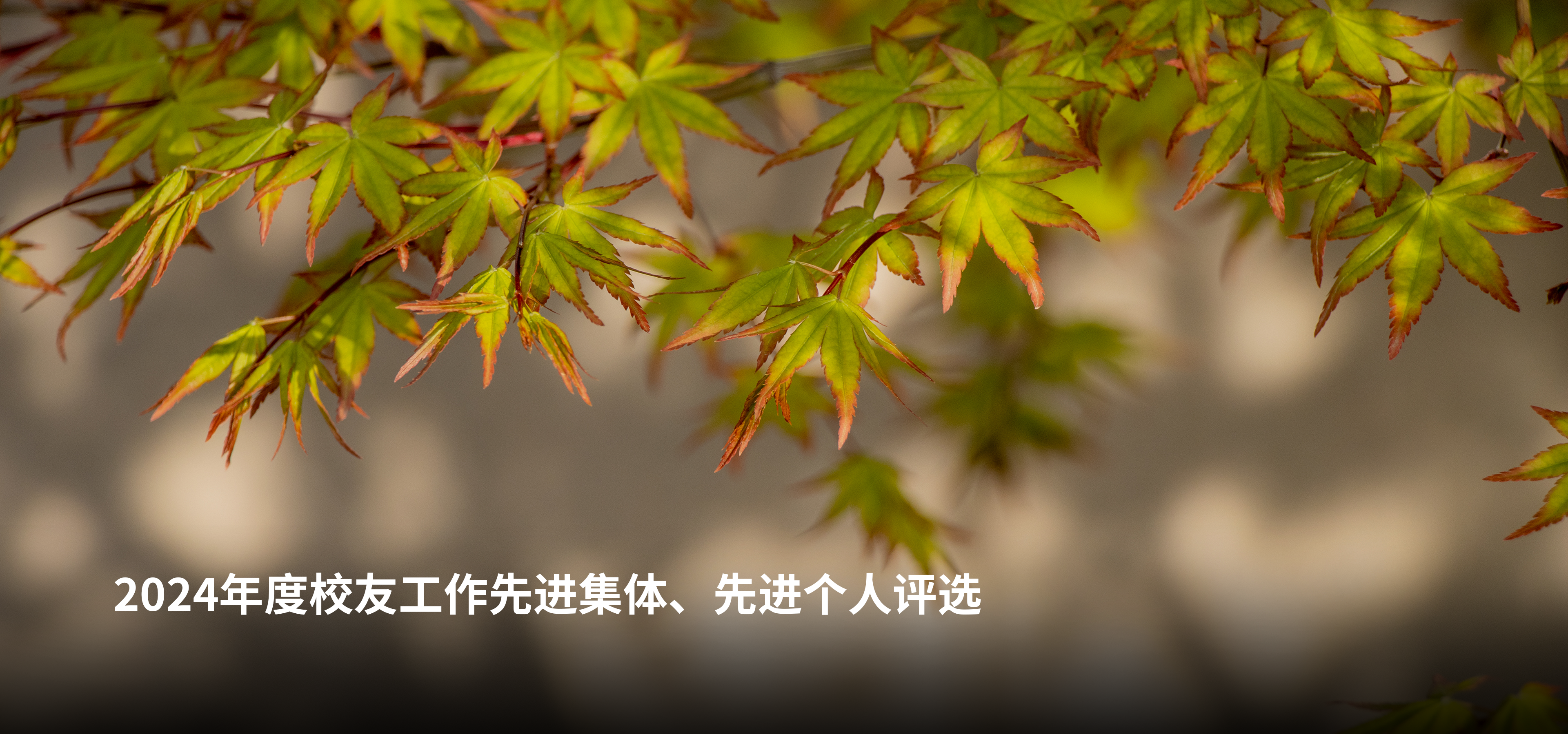 幻灯标题