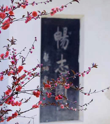 学院校友会