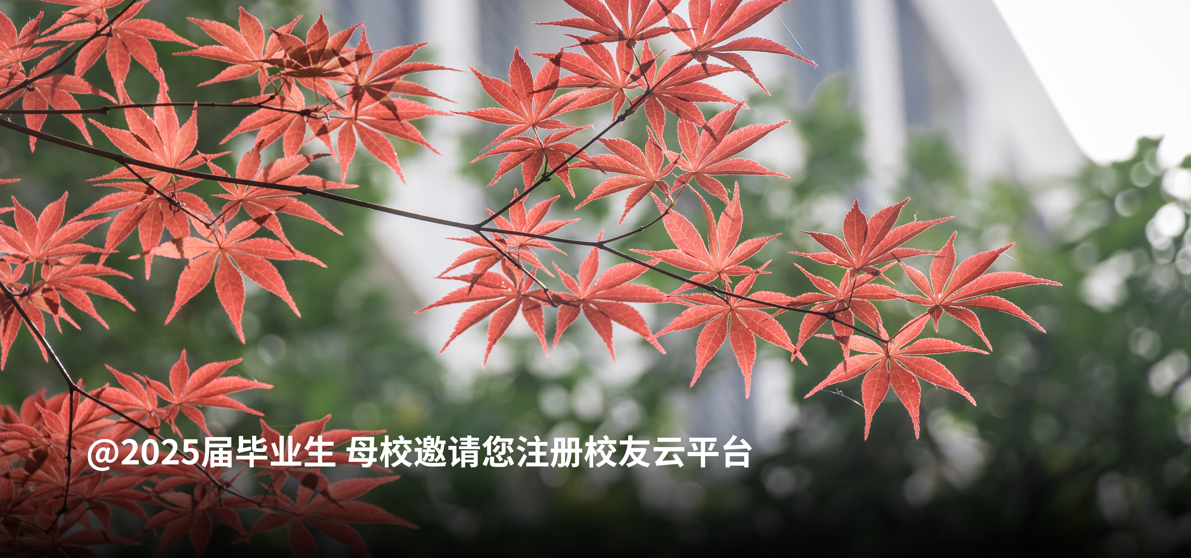 幻灯标题